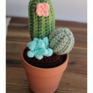 Handmade Mini Crochet Cactus multicolr with flowers