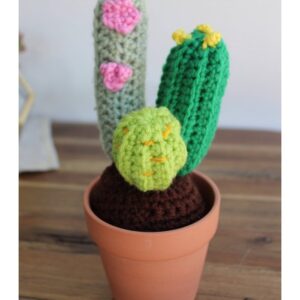 Handmade Mini Crochet Cactus multicolor