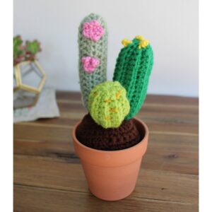 Handmade Mini Crochet Cactus multicolor