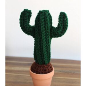 Handmade Mini Crochet Cactus in standing man posture