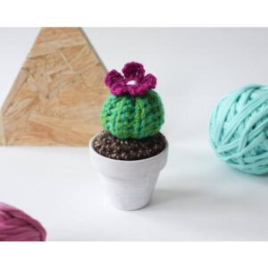 Handmade Mini Crochet Cactus