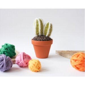 Handmade Mini Crochet Cactus with two stems