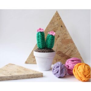 Handmade Mini Crochet Cactus with double stem