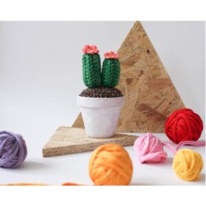 Handmade Mini Crochet Cactus with two stem and flowers