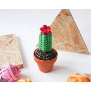 Handmade Mini Crochet long pattern Cactus with red flower